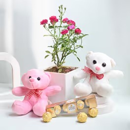 Valentine Rose Rose Plant With Chocolate N Teddy